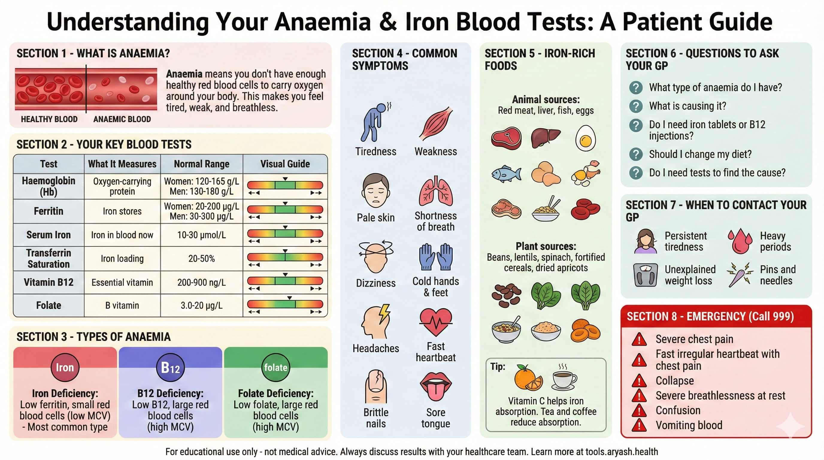 Anaemia blood tests infographic preview