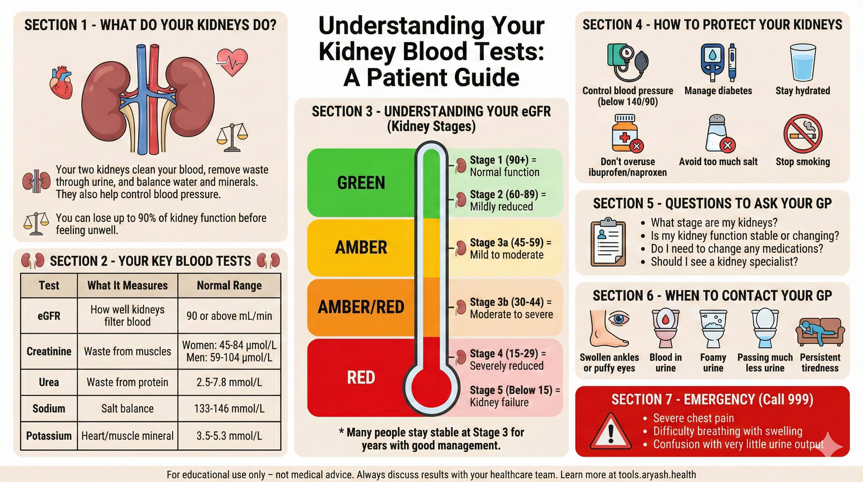 Kidney blood tests infographic preview