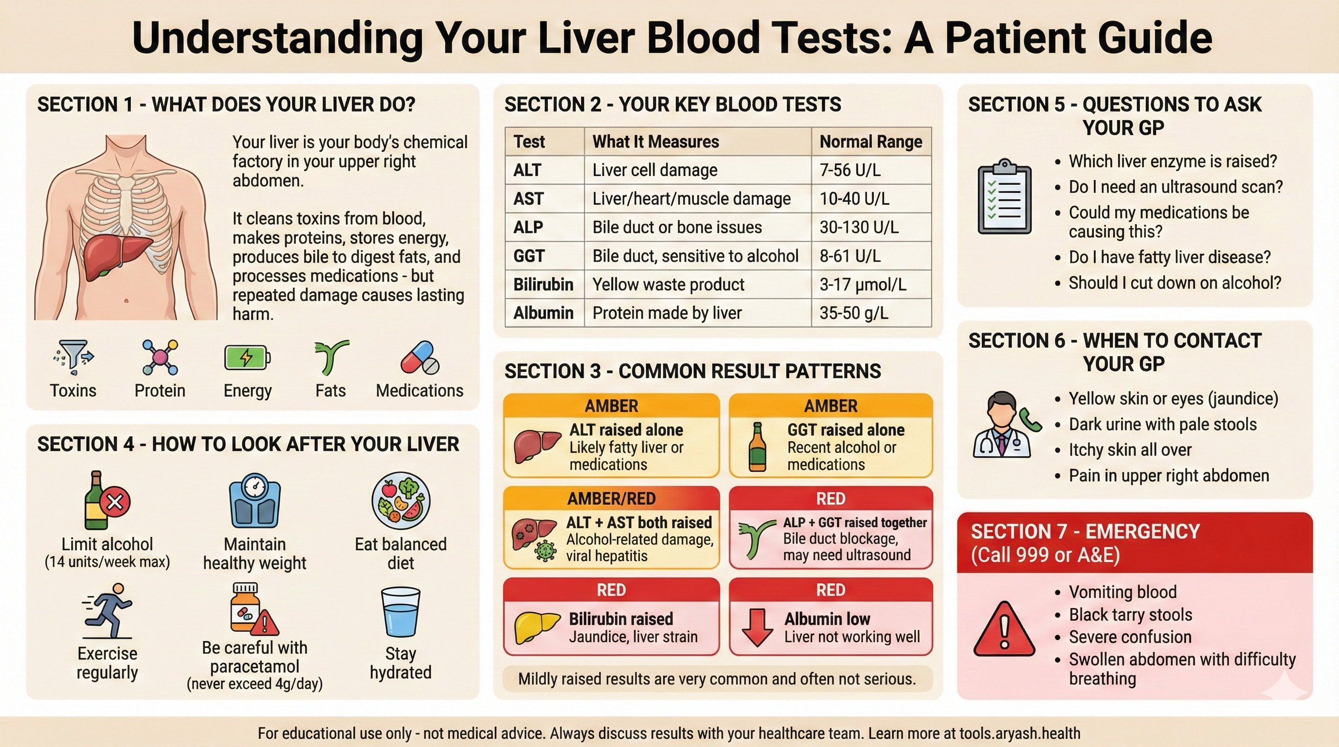 Liver blood tests infographic preview