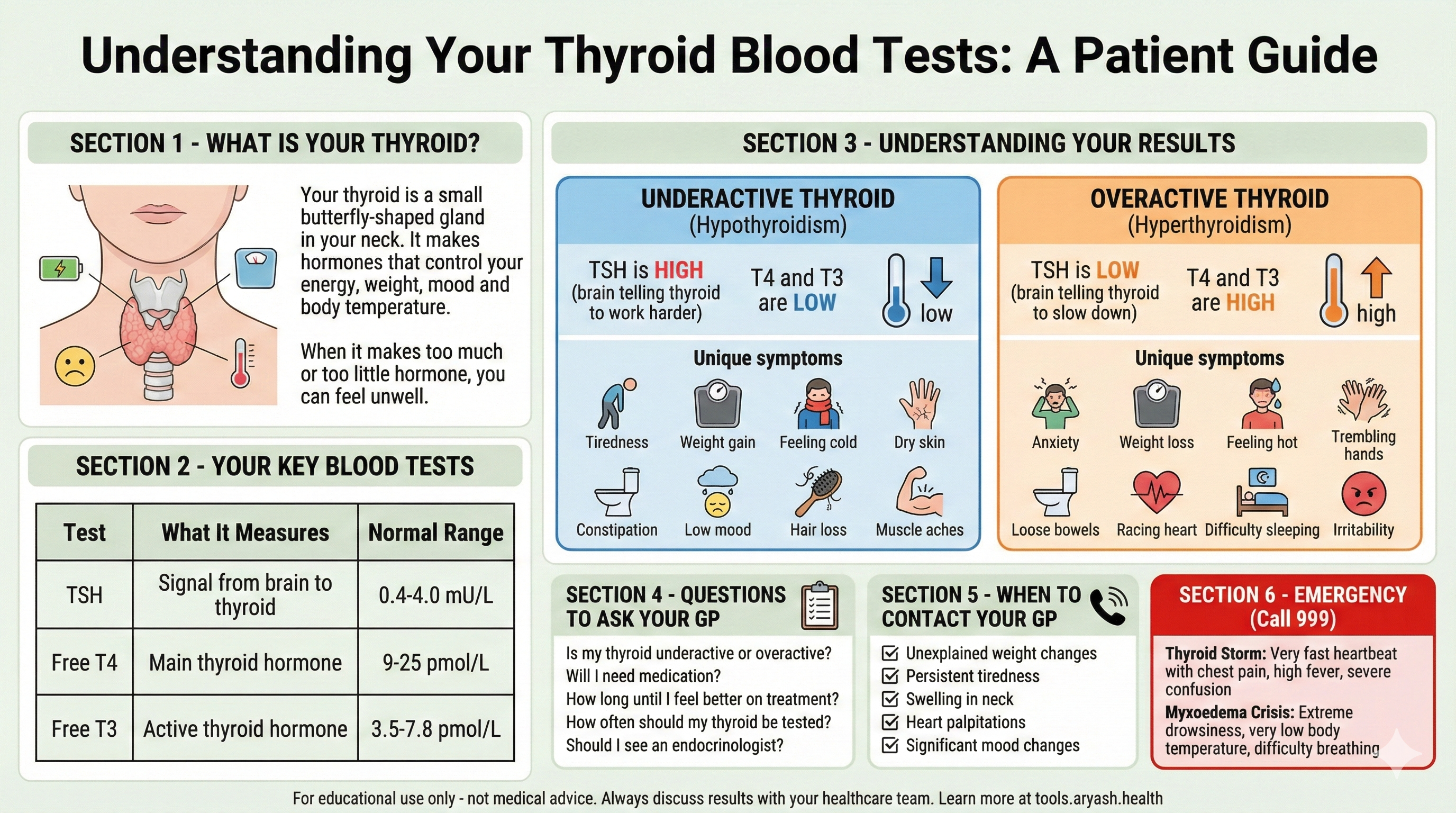 Thyroid blood tests infographic preview