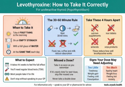 Levothyroxine medication guide infographic preview