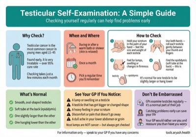 Testicular self-examination guide preview