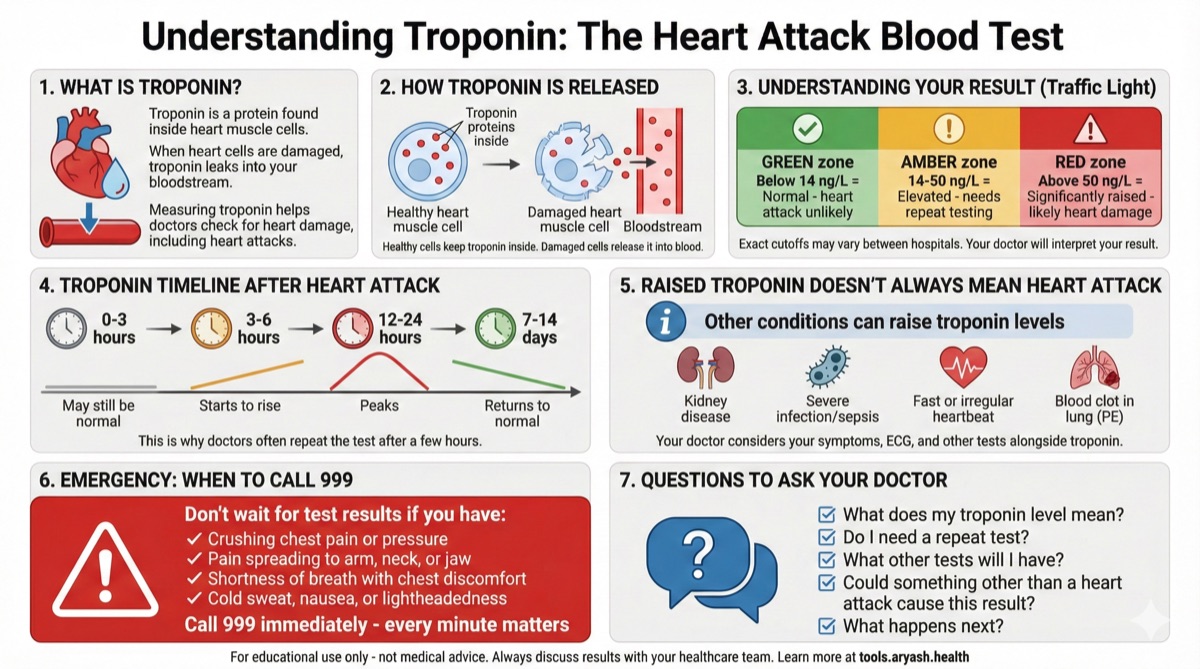 Troponin blood test infographic preview